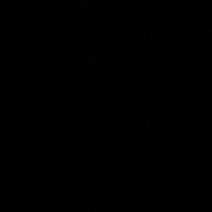 Meet your Posher, Ellie grace